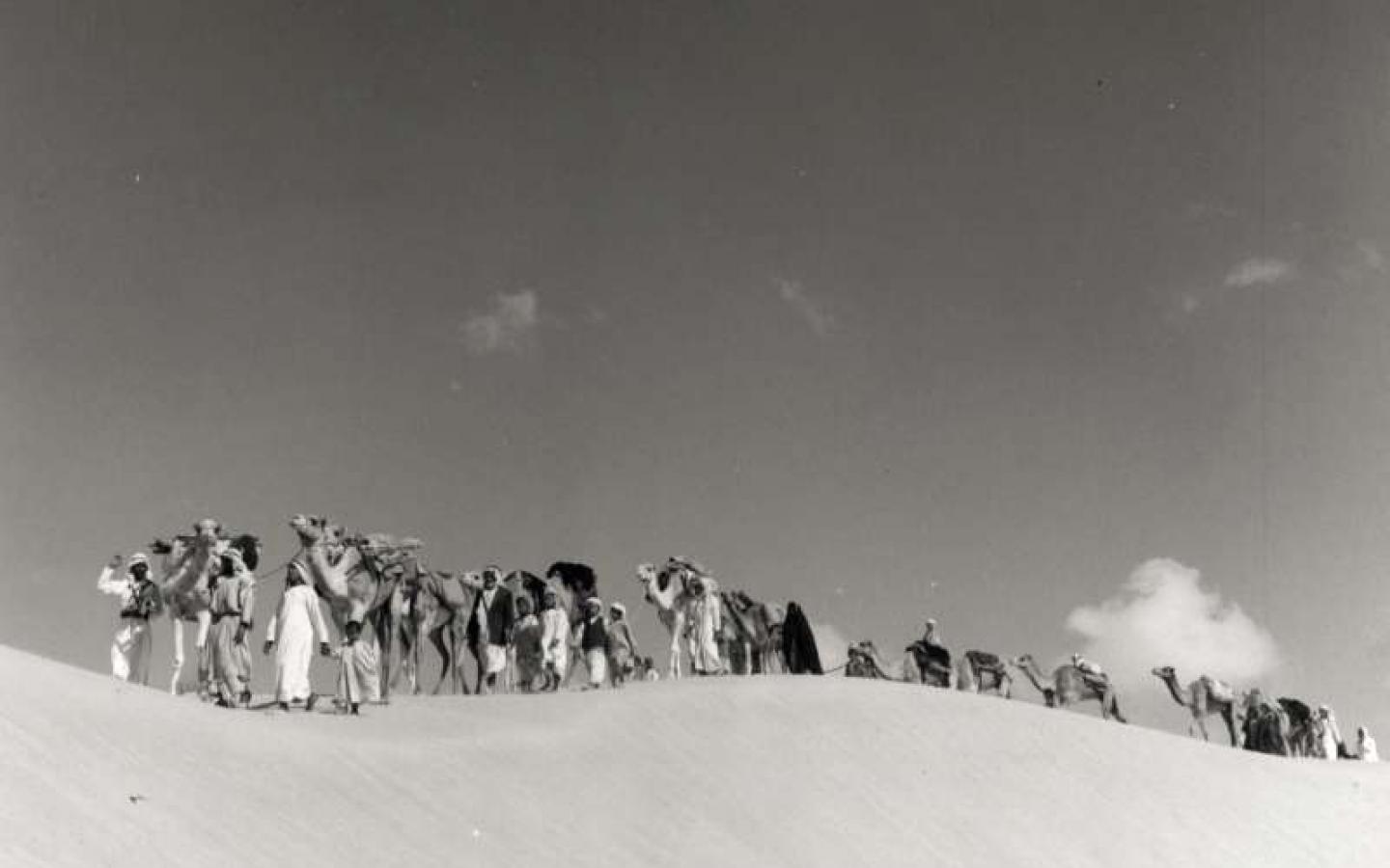 desert