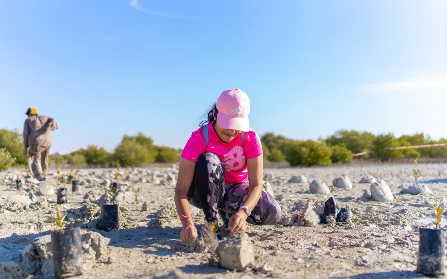 mangrove-planting