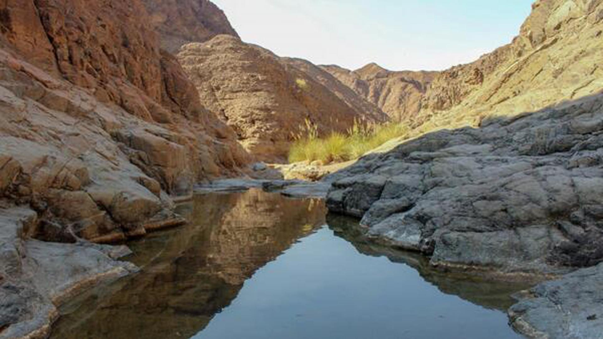 helping-establish-the-wadi-wurayah-national-park