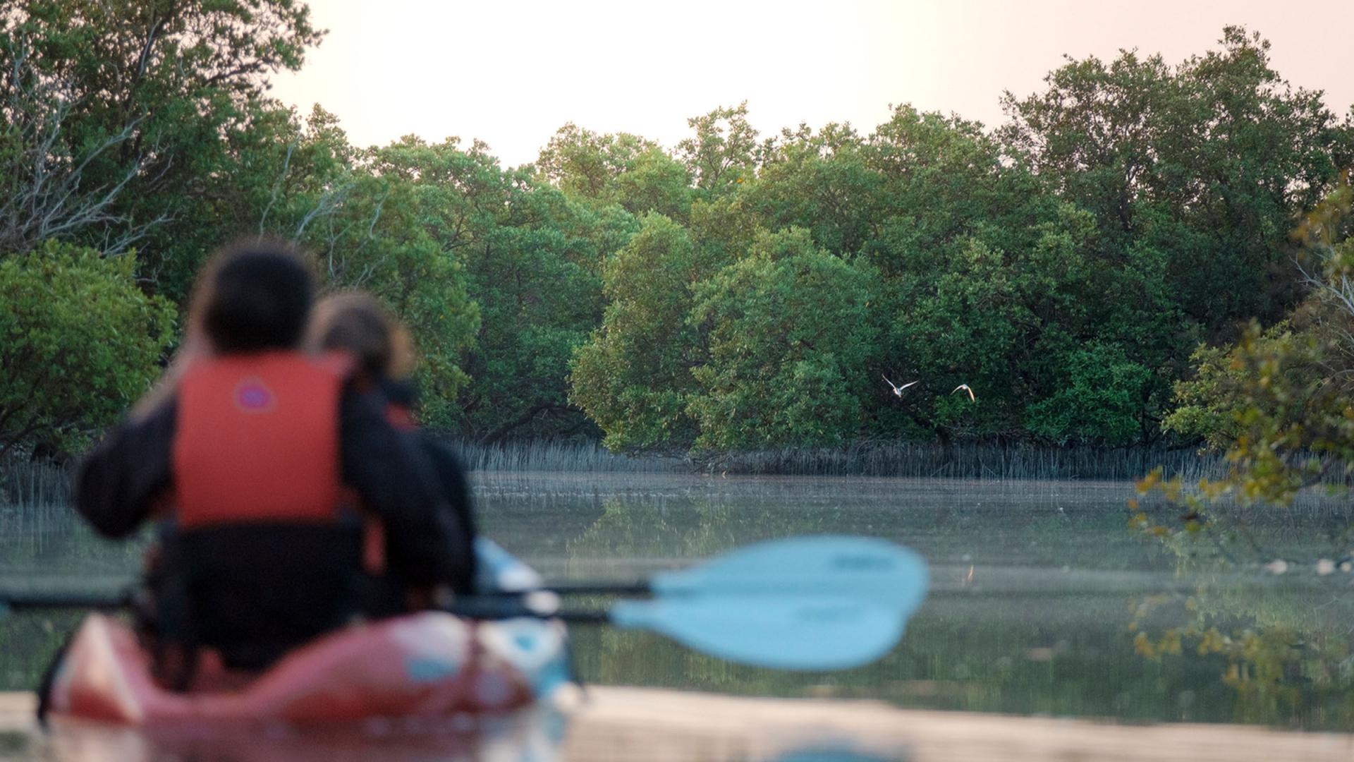 protecting-coastal-and-marine-habitats